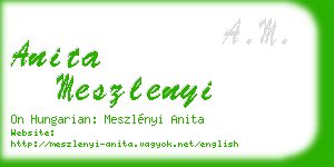 anita meszlenyi business card